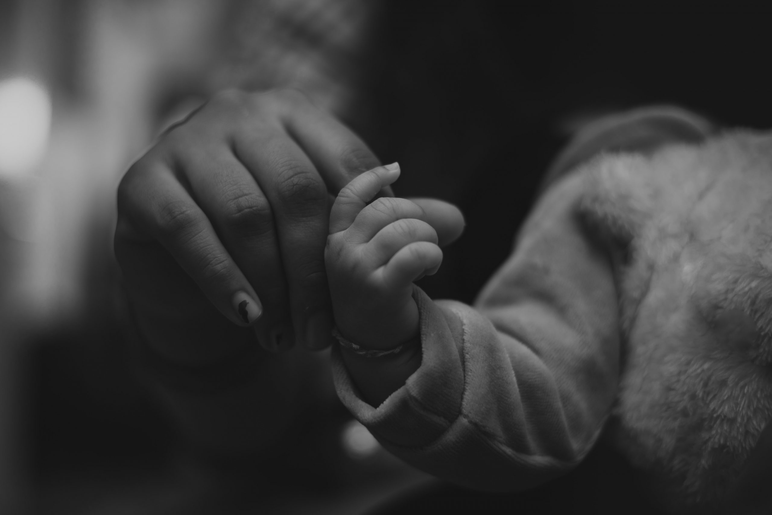 pexels-nikhil-singh-9392609